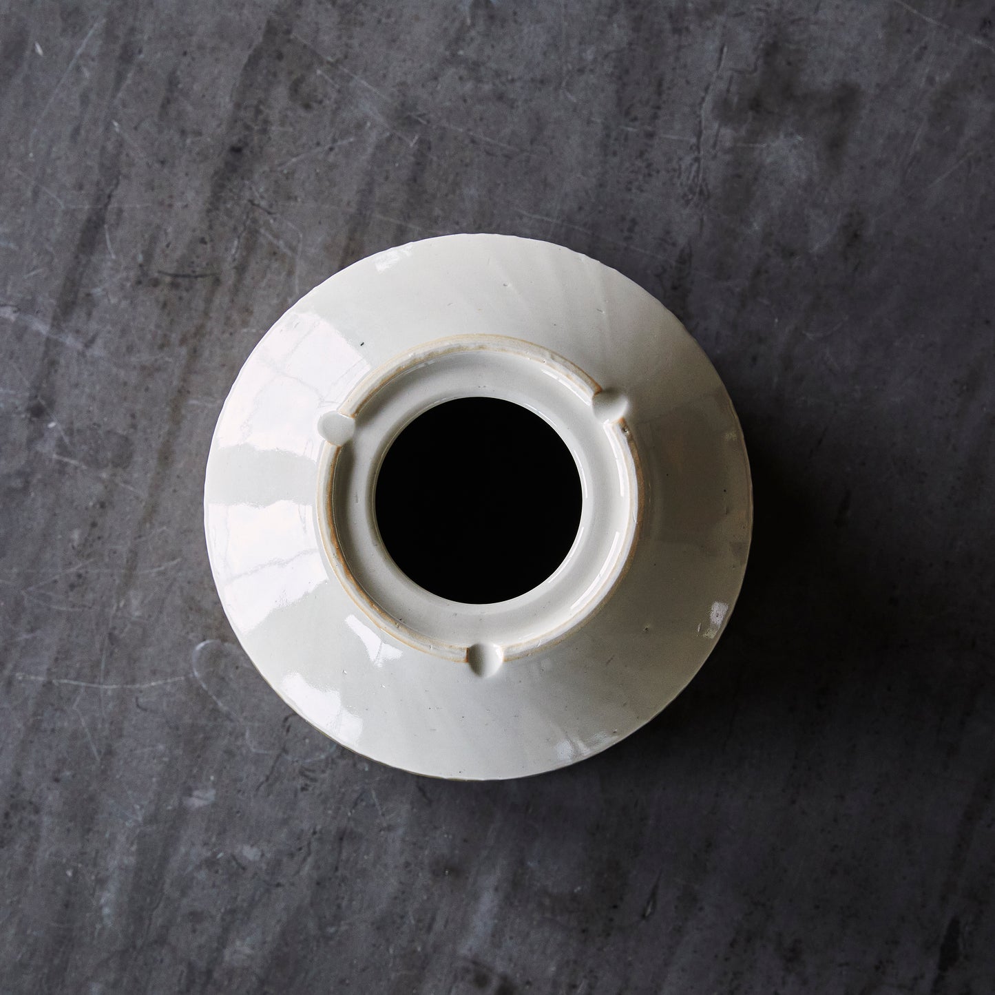 studio wani 植木鉢 5寸【AMIME】