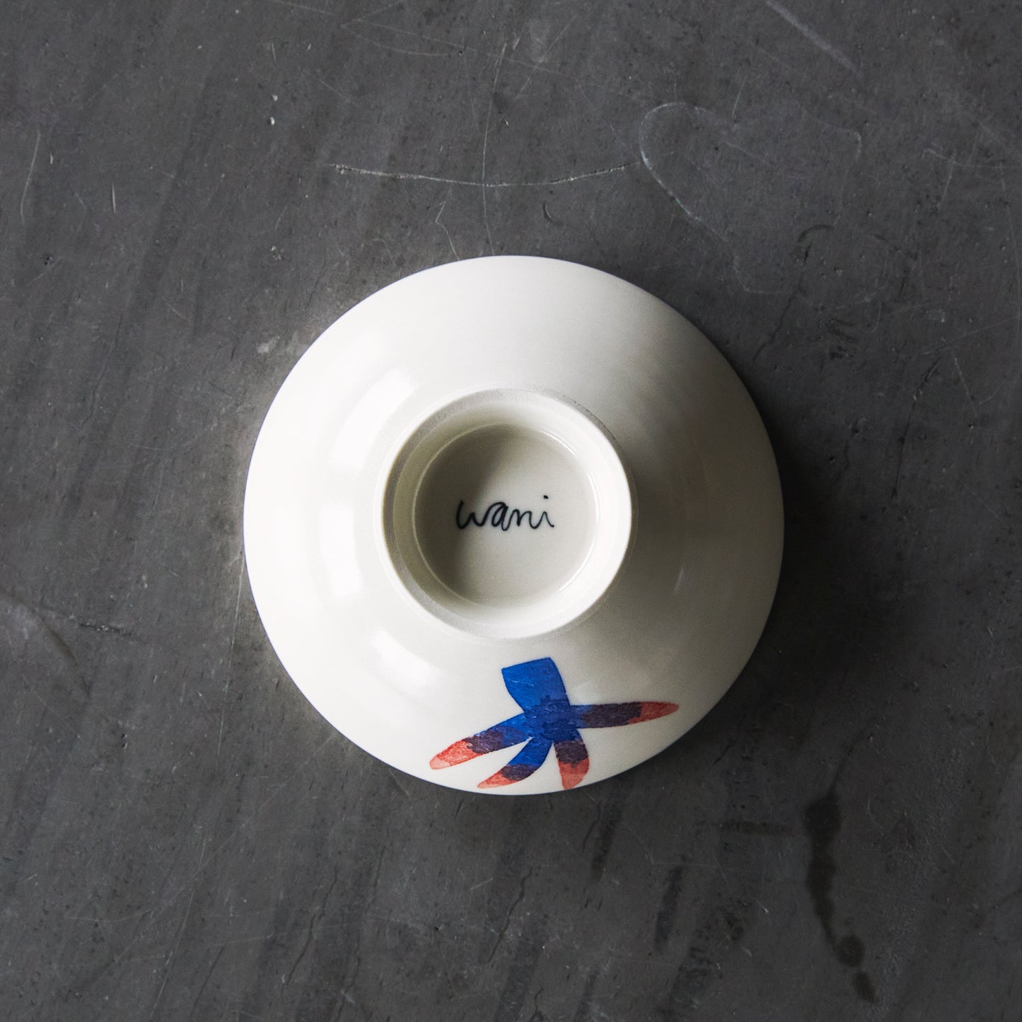 studio wani こども用お茶碗 小【ブラキオサウルス】