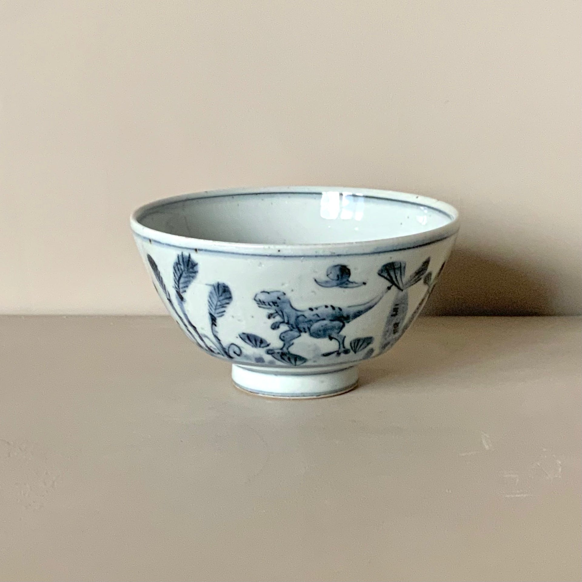 studio wani DINOSAUR ご飯茶碗 大 – IEGNIM